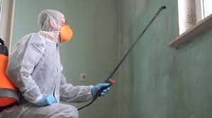 Best Black Mold Removal in Frederick, MD